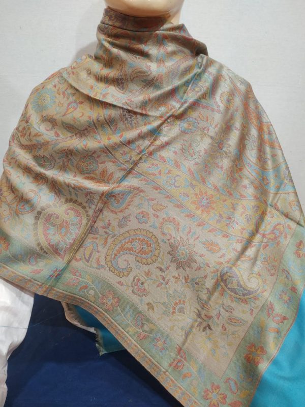 Dark Beige & Multi color Silk & Pashmina Unisex Paisley Design Shawl With Turquoise Border
