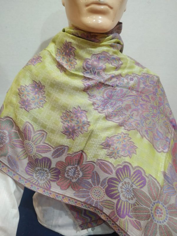 Light Green & Multi color Silk & Pashmina Unisex Floral Pattern Shawl